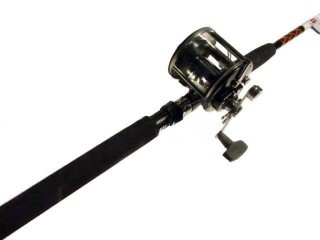Penn Long Beach 3360C 6' Med 15-30 Boat Rod 1Pc W/Penn 209 Level Wind Reel