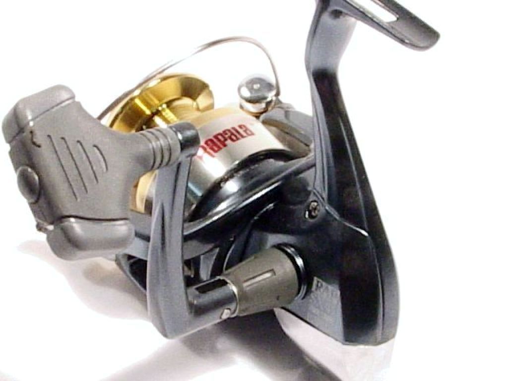 rapala maxwell 2000 reel